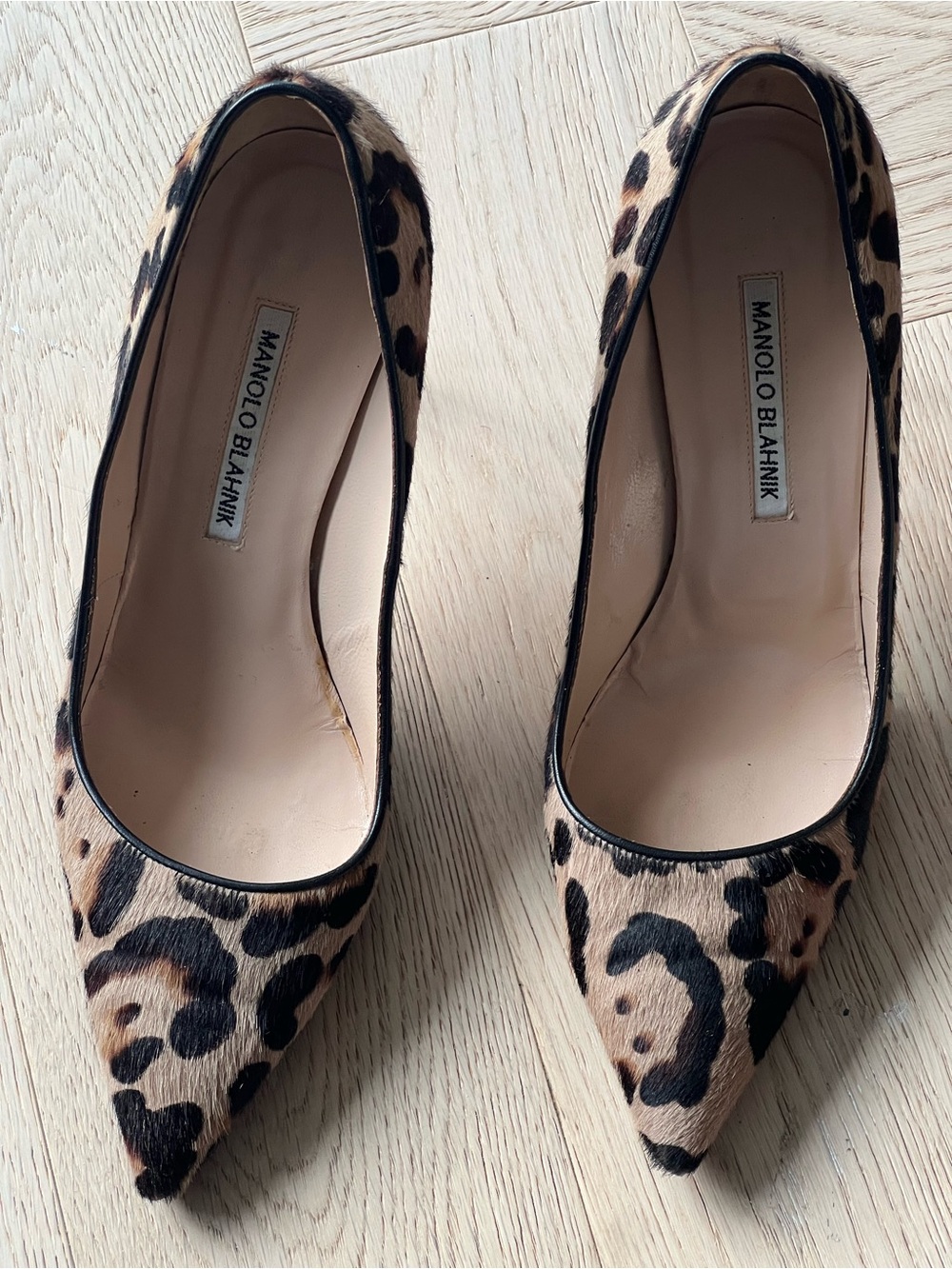 Manolo Blahnik Leopard-Print Pointed-Toe Pumps - Brown/Black